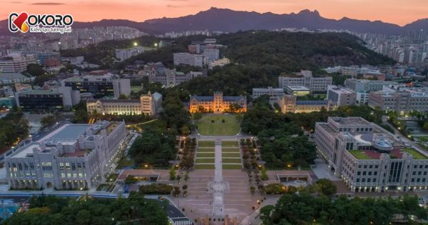 Korea University (고려대학교)