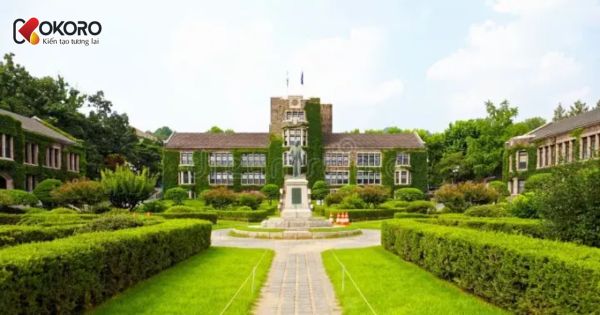 Yonsei University (연세대학교)