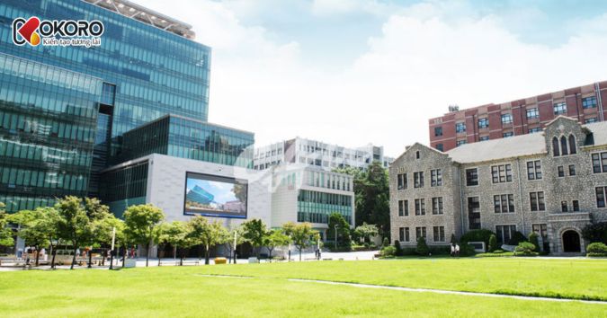 Chung-Ang University (중앙대학교)