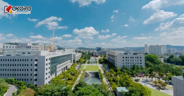 Korea University (고려대학교)