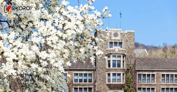 Yonsei University (연세대학교)