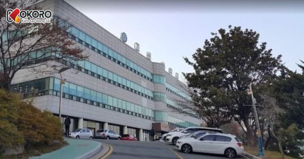 Top trường Hàn dễ vào nhưng ranking tốt (rất phù hợp làm hồ sơ visa)