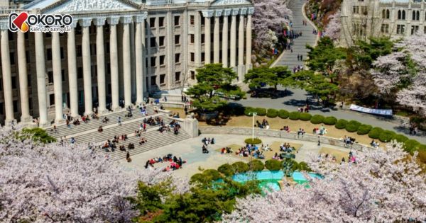 Top 30 trường đại học Hàn Quốc