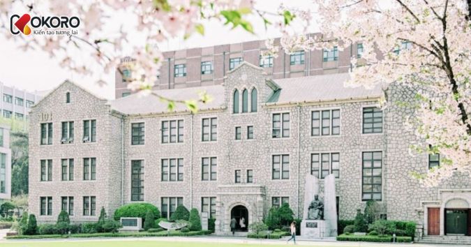 Chung-Ang University (중앙대학교)