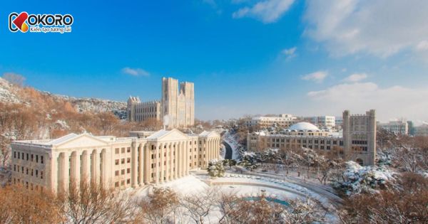 Kyung Hee University (경희대학교)