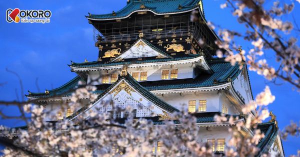 Du học Nhật Bản có còn là lựa chọn đúng đắn trong thời đại AI và toàn cầu hóa?