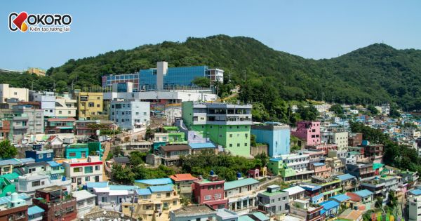 Danh sách trường có rank cao nhất Hàn Quốc