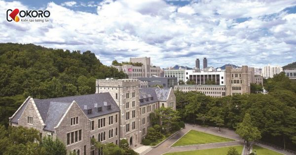 Korea University (고려대학교)