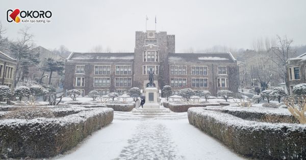 Yonsei University (연세대학교)