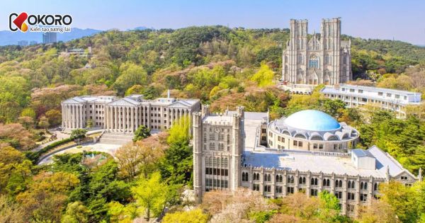 Kyung Hee University (경희대학교)