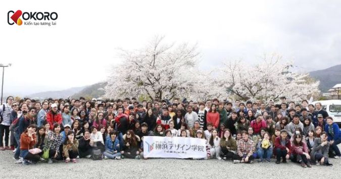 Học viện thiết kế Yokohama Nhật Bản