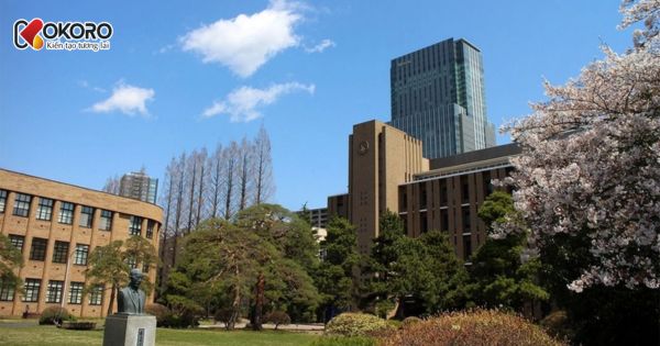 Top 30 trường đại học Nhật Bản