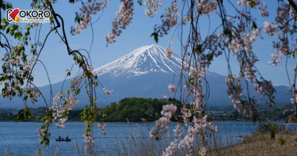 Trường chuyên môn thiết kế Tokyo