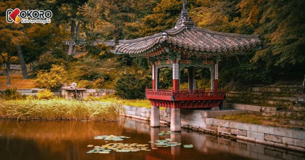 Khám phá nét đẹp truyền thống trong văn hóa Hanbok và trà đạo Hàn Quốc