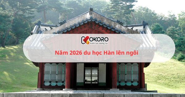 Năm 2026 du học Hàn lên ngôi