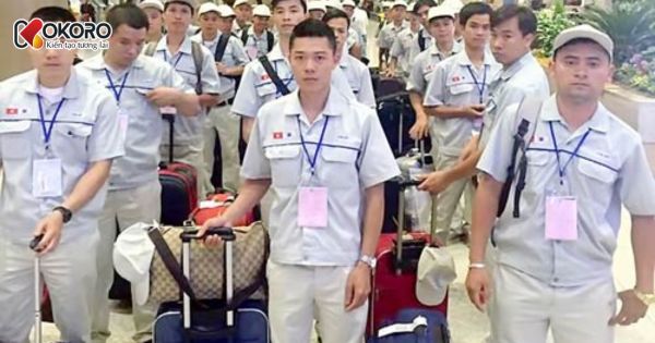 Tại sao gen Z không nên đi xuất khẩu lao động Hàn Quốc?