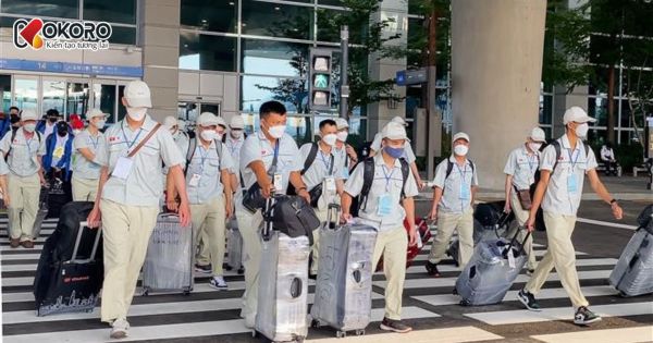 Tại sao gen Z không nên đi xuất khẩu lao động Hàn Quốc?
