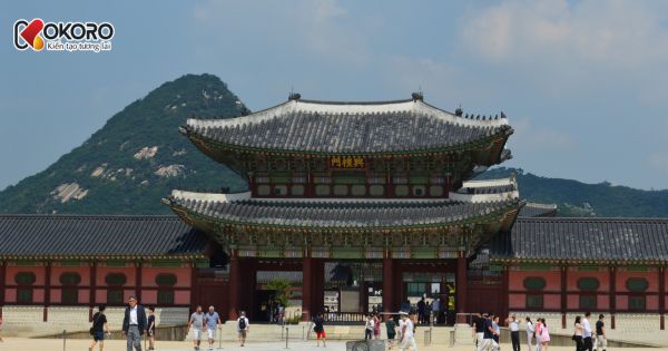 Năm 2026 du học Hàn lên ngôi