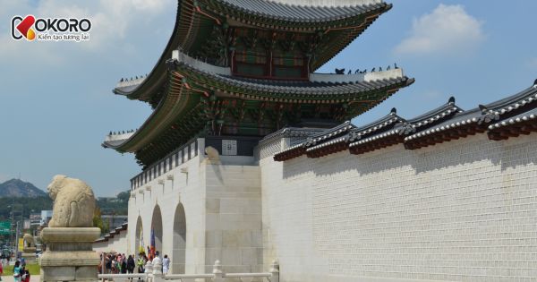 Năm 2026 du học Hàn lên ngôi