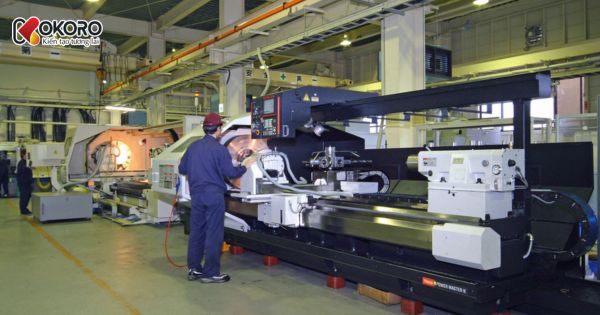 Tại sao gen Z không nên đi xuất khẩu lao động Hàn Quốc?