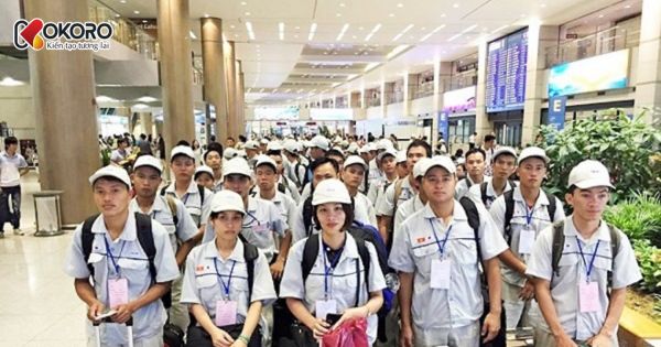 Tại sao gen Z không nên đi xuất khẩu lao động Nhật Bản?