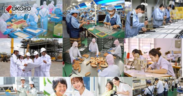 Tại sao gen Z không nên đi xuất khẩu lao động Nhật Bản?